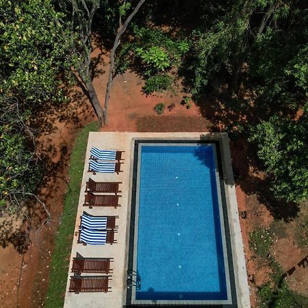 Isanka Lion Lodge Sigiriya Exteriér fotografie