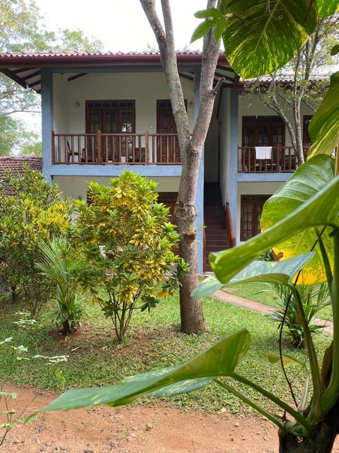 Isanka Lion Lodge Sigiriya Exteriér fotografie