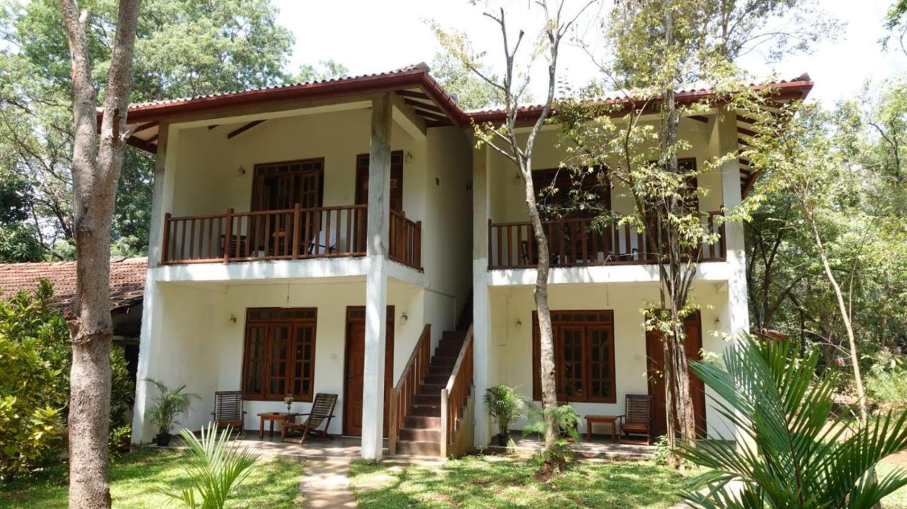 Isanka Lion Lodge Sigiriya Exteriér fotografie