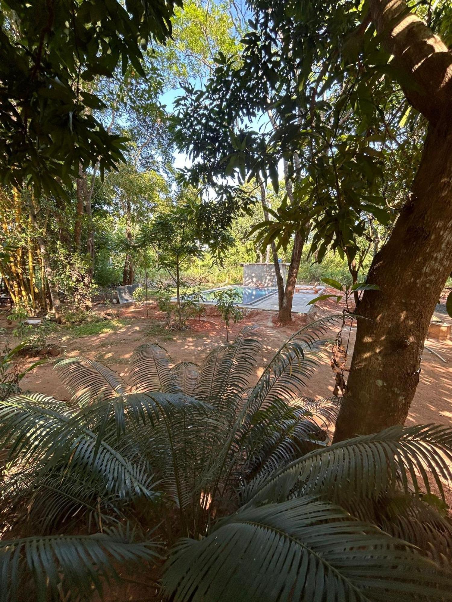Isanka Lion Lodge Sigiriya Exteriér fotografie