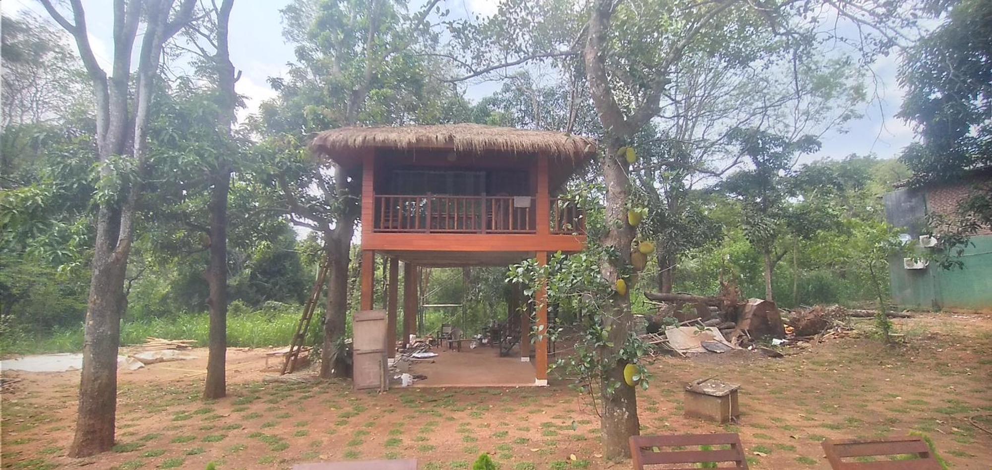Isanka Lion Lodge Sigiriya Exteriér fotografie